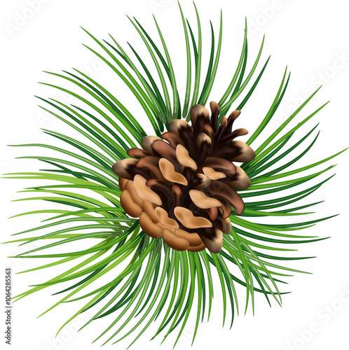 Christmas decorations plants realistic composition with green tree branches and pine cones vector illustration. Eps 10