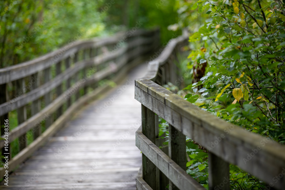 A boardwalk at the beginning (or end - it's a loop) of a nature trail in a provincial park in Ontario. A boardwalk at the beginning (or end - it's a loop) of a nature trail in a provincial park in Ontario.