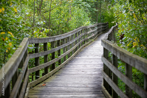 A boardwalk at the beginning (or end - it's a loop) of a nature trail in a provincial park in Ontario.