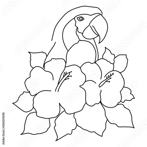 hand drawn  Parrot on flowe