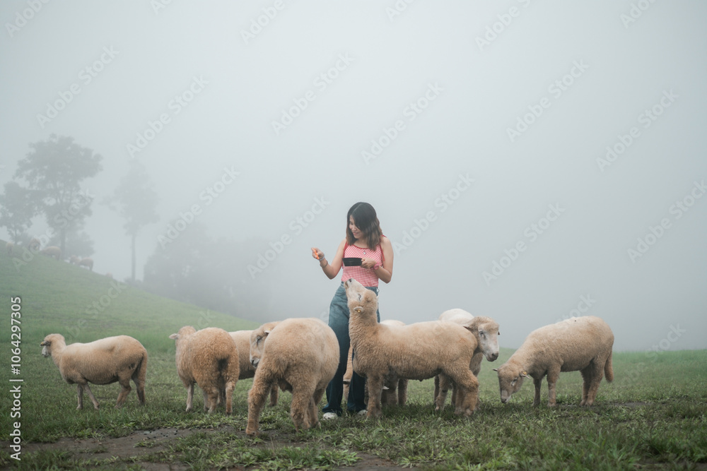 Obraz premium A woman stands among sheep in a foggy pasture, creating a serene rural scene with lush greenery and mist.
