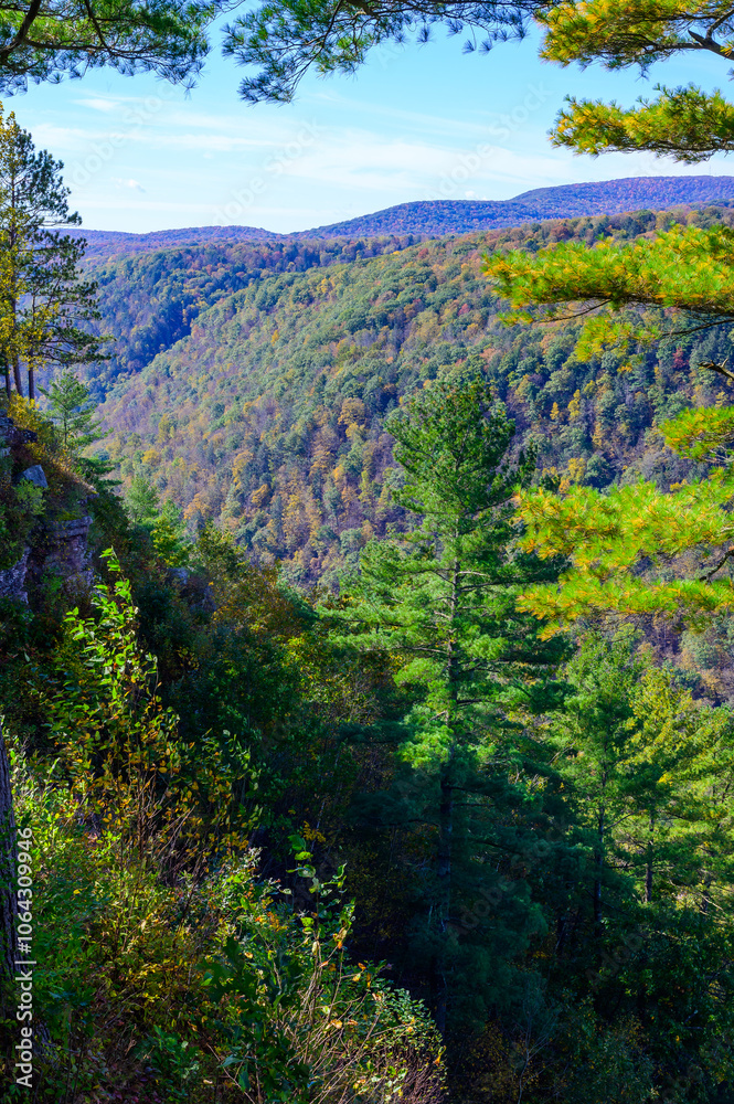 The Grand Canyon of Pennsylvania at Leonard Harrison State Park, in Watson Township, Pennsylvania. The Grand Canyon of Pennsylvania at Leonard Harrison State Park, in Watson Township, Pennsylvania.