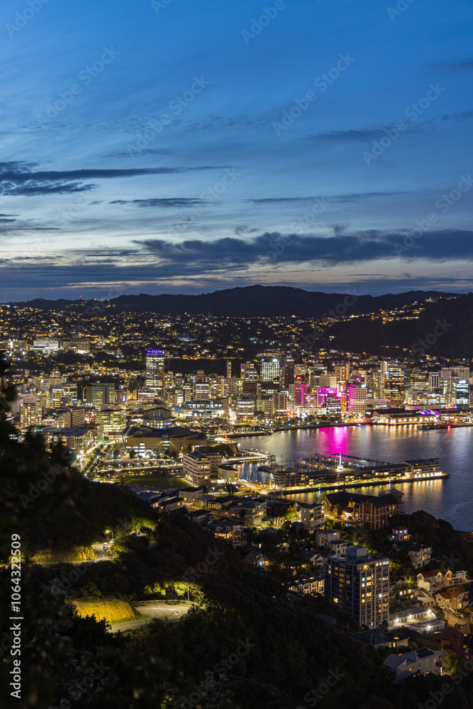 Fototapeta premium ニュージーランド ウェリントンのマウント・ビクトリアからの見える港の夜景