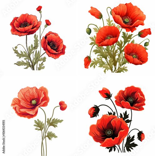 poppy flower head poppy single flower poppy red flower poppy flower graphic poppy flower line drawing poppy flower outline