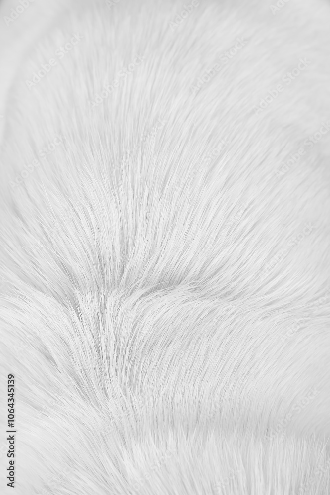 White fur dog texture soft smooth patterns or animal hair on light background White fur dog texture soft smooth patterns or animal hair on light background
