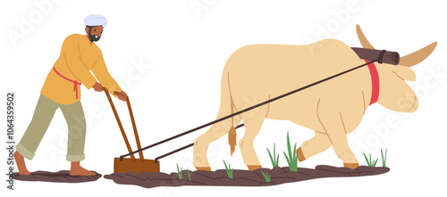 Indian Farmer Uses A Traditional Plow With Oxen To Prepare Soil For Planting, Reflecting Age-old Agricultural Practices