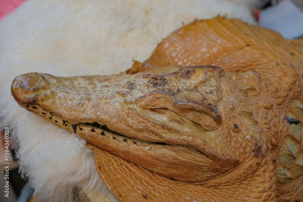 Dyed animal Crocodile Skin, Alligator Caiman and Crocodile classic Leather products for sale, in Hatyai , Thailand