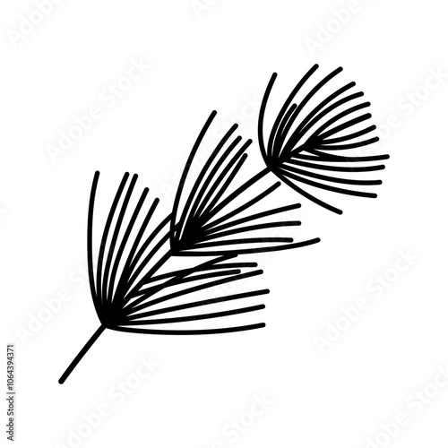 Hand drawn pine branch isolated on white background. Coniferous tree twig, Christmas botanical illustration. Evergreen forest plant, winter holiday decoration. Doodle sketch for postcard, invitation