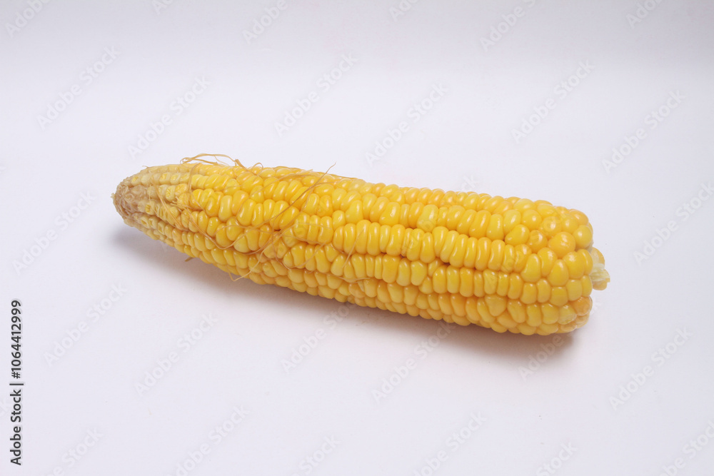 corn on the cob corn on the cob