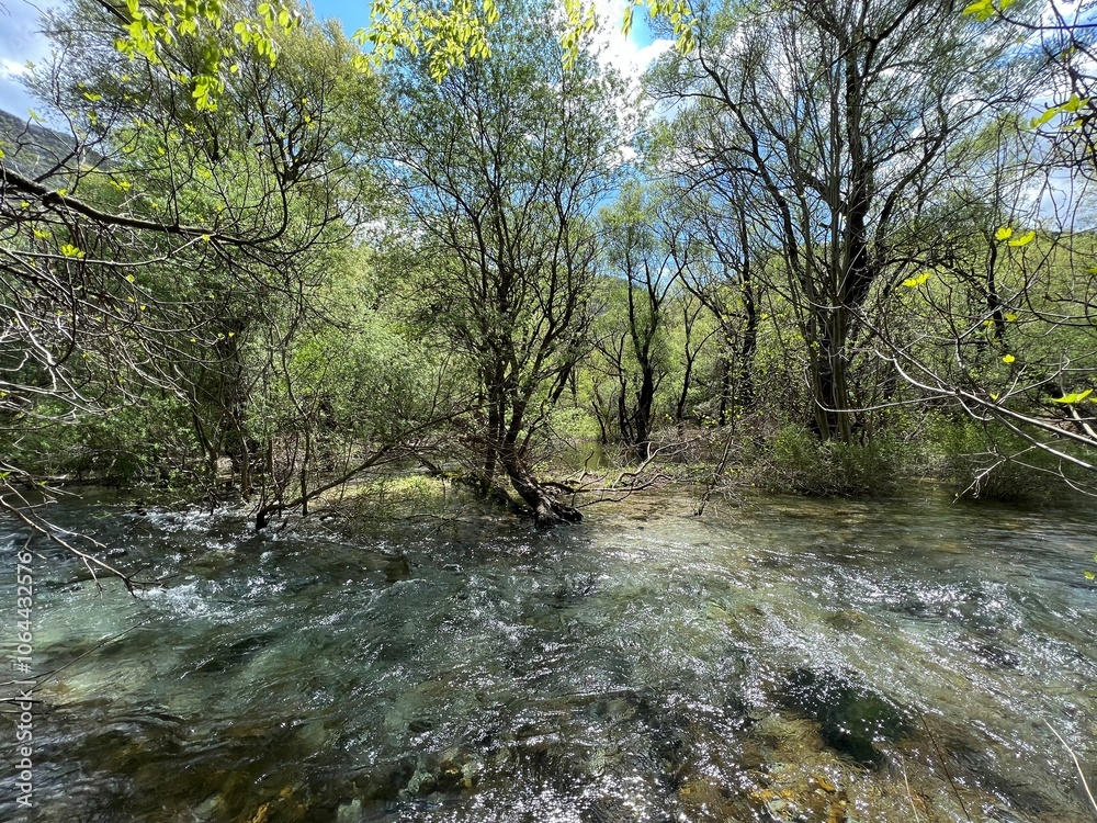 The upper course of the Zrmanja River and immediately after the source (Velebit Nature Park, Croatia) - der Oberlauf des Flusses Zrmanja und unmittelbar nach der Quelle (Naturpark Velebit, Kroatien) The upper course of the Zrmanja River and immediately after the source (Velebit Nature Park, Croatia) - der Oberlauf des Flusses Zrmanja und unmittelbar nach der Quelle (Naturpark Velebit, Kroatien)