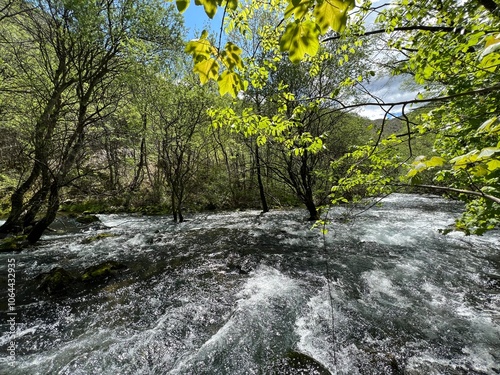 The upper course of the Zrmanja River and immediately after the source (Velebit Nature Park, Croatia) - der Oberlauf des Flusses Zrmanja und unmittelbar nach der Quelle (Naturpark Velebit, Kroatien) photo