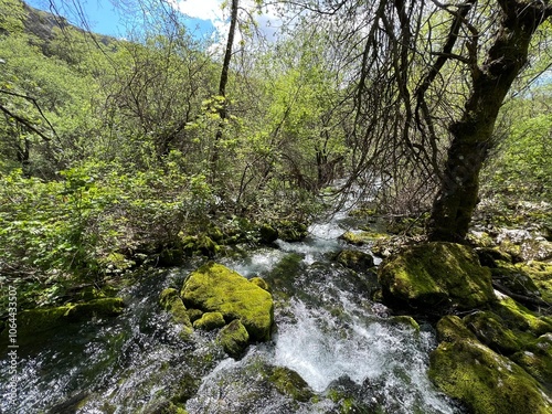 The upper course of the Zrmanja River and immediately after the source (Velebit Nature Park, Croatia) - der Oberlauf des Flusses Zrmanja und unmittelbar nach der Quelle (Naturpark Velebit, Kroatien) photo