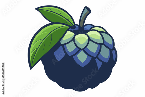  custard apple vector art illustration 