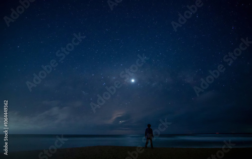 Solitude Beneath the Tranquil Night Sky