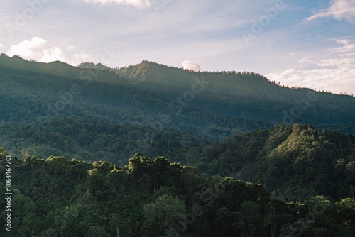 Fototapeta Naklejka Na Ścianę i Meble -  Mountain range with lush green forest. Breathtaking view of nature landscape photo for background, wallpaper, and digital backdrop.