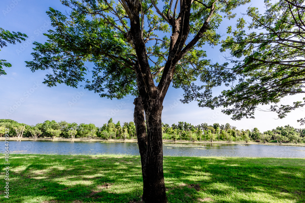 Obraz premium Green nature landscape background of rice fields, fresh air and various trees of mountains surrounding. The way of life of the farmers community who grow crops for their living.
