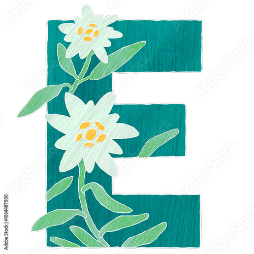 Large green letter e with edelweiss flowers