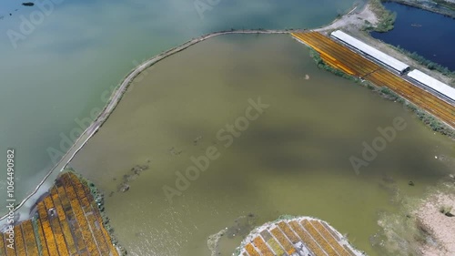 Drone Shot Of Mexico Cempasuchitl Flowers Day Of Death Near Stunning Lake, Xoxhimilco photo