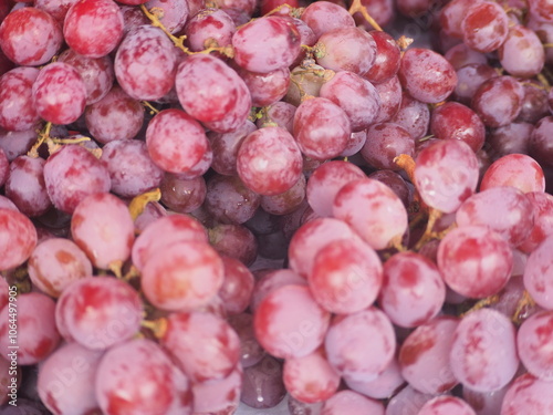 red grapes close up