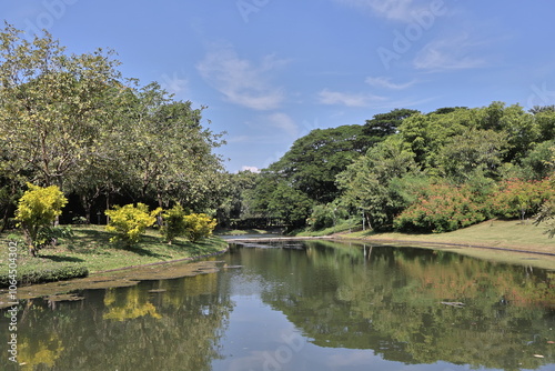 spring in the park spring in the park and lake beautiful nature in garden park Thailand travel 