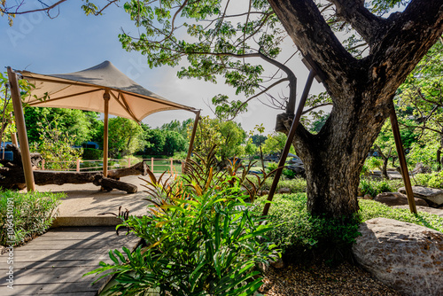 natural background of many species of plants that are laid out in the park, for the propagation of the species and to provide shade for those who stop by while traveling to study the ecology.