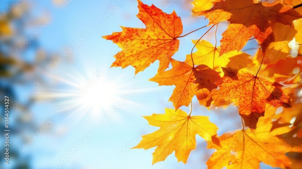 Autumn background with maple leaves and bokeh,Fall blurred background, Yellow and red maple leaves are flying and falling down. Autumnal landscape.water drop on leaf,space for text. Autumn background with maple leaves and bokeh,Fall blurred background, Yellow and red maple leaves are flying and falling down. Autumnal landscape.water drop on leaf,space for text.