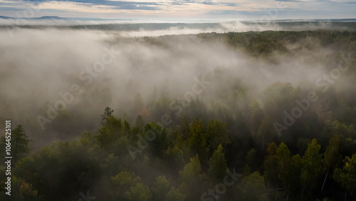 fog over the forest at dawn in autumn from the height of a drone