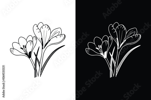 Elegant Crocus Flower Vector. Botanical Icon Illustrations