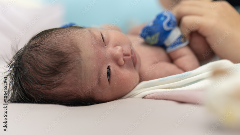Celebrating Life with a Newborn Baby Girl Celebrating Life with a Newborn Baby Girl