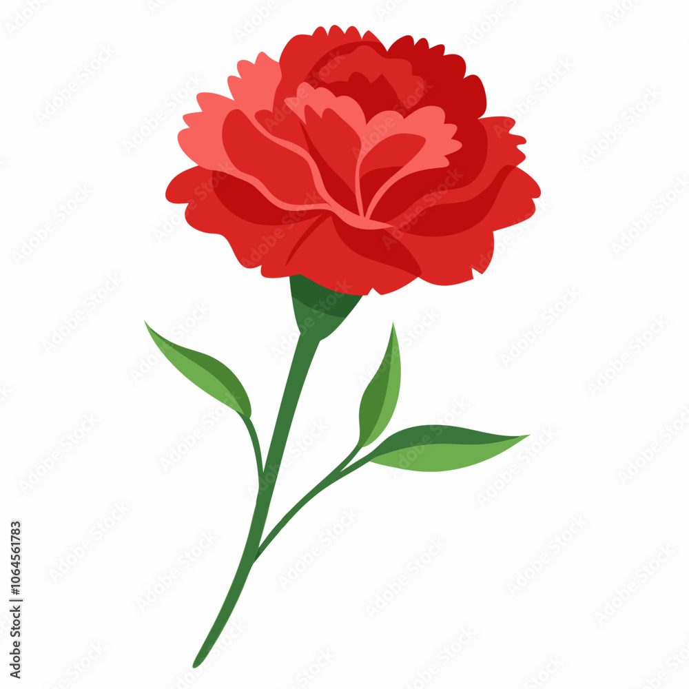 Carnation flower vector illustration on a white background Carnation flower vector illustration on a white background