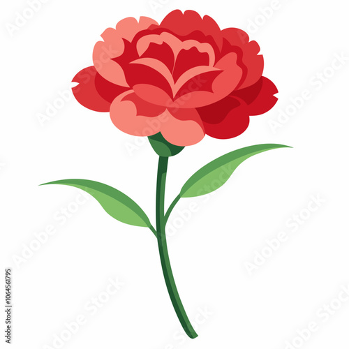 Carnation flower vector illustration on a white background