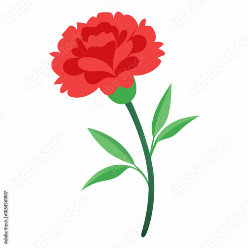 Carnation flower vector illustration on a white background