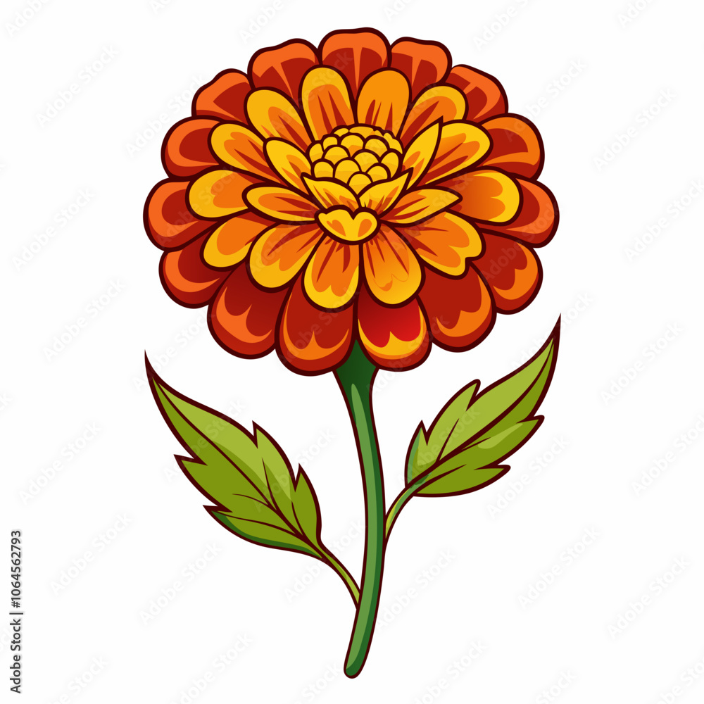 Marigold flower vector illustration on a white background Marigold flower vector illustration on a white background