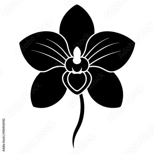 Orchid silhouette vector illustration