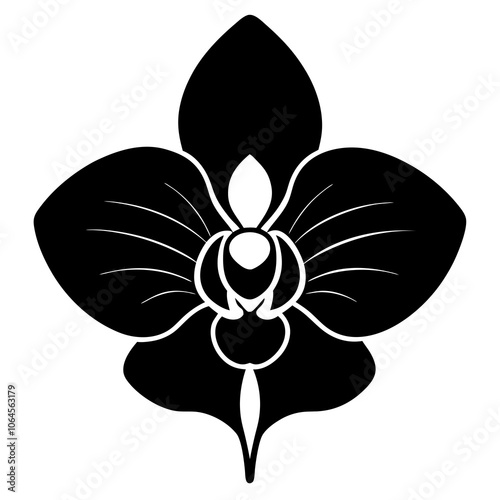 Orchid silhouette vector illustration