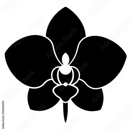 Orchid silhouette vector illustration