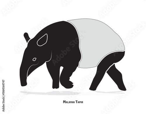 Malayan Tapir as Asian Animal with White Patch and Short Nose Trunk in Different Pose Vector
