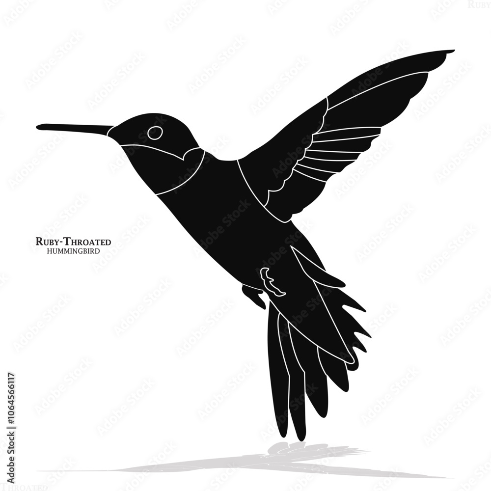 Fototapeta premium Ruby-throated hummingbird, bird, Black Ruby-throated hummingbird, icon, black bird icon