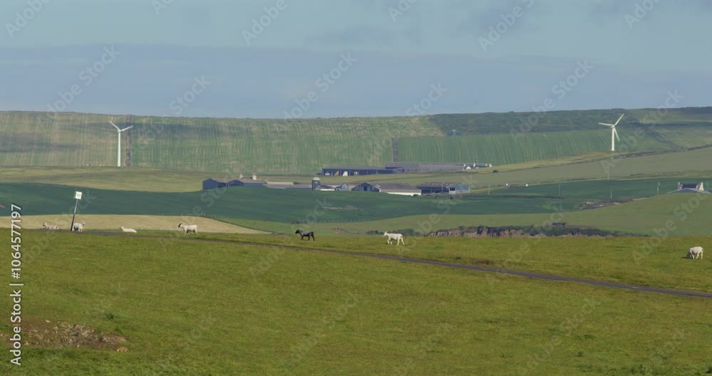 extra wide shot across farmland on the mull of Galloway with wind turbines and farm buildings in background extra wide shot across farmland on the mull of Galloway with wind turbines and farm buildings in background