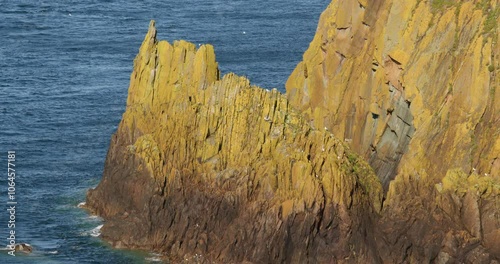 wide shot of the jagged rocks McTaggarts rock. With Guillemots flying around at the Mull of Galloway photo