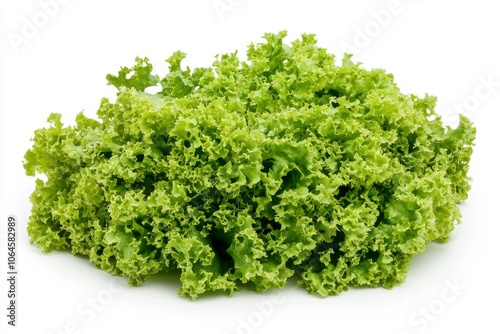 Fresh green curly lettuce on a white background.