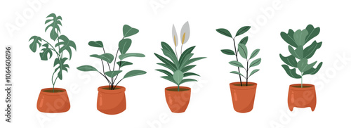 Stunning Illustrations of Plants and Flowers. Set of plants. Plants Collection. Plant in pot. Plant Illustration for Interior Design Projects. Tropical Plants in Botanical Illustration.