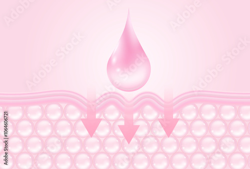The collagen solution and glutathione drop serum are absorbed until the skin cell layer becomes younger. . 3D Vector