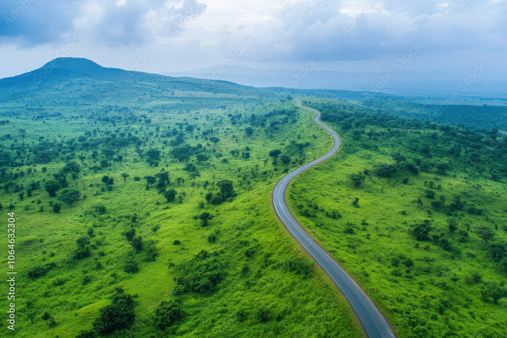 Fototapeta premium A winding road through lush green hills under a cloudy sky.