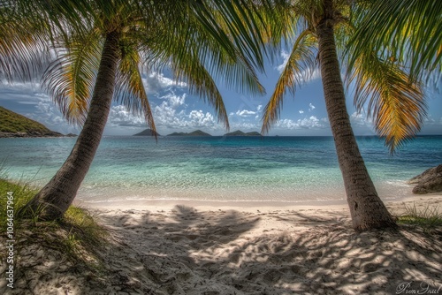 Tropical Oasis: Serene Beach with Turquoise Waters and Majestic Palm Trees