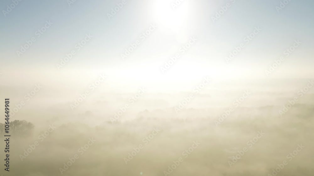 Vibrant autumn fields and forest blanketed by morning fog