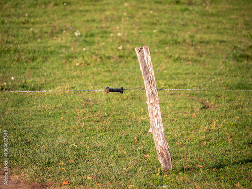 Electric fences for livestock can be used on pastures but also for fencing around the stable. The fence can be unfastened on the clutch and calmly enter the pasture. photo