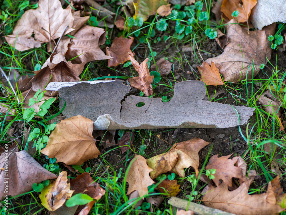 Naklejka premium Sycamore bark periodically sheds in flat scales, revealing new bark. Dirt and dust are removed with the shedding bark. So the sycamore can survive well even in cities with polluted air.