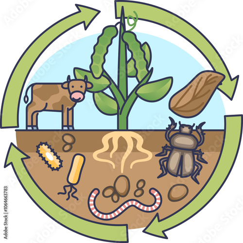 Illustration of nutrient cycling with cow, plant, soil organisms, and arrows.