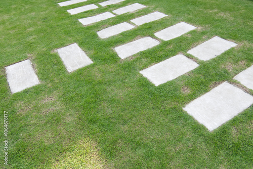 The walkway on the green grass in the garden.